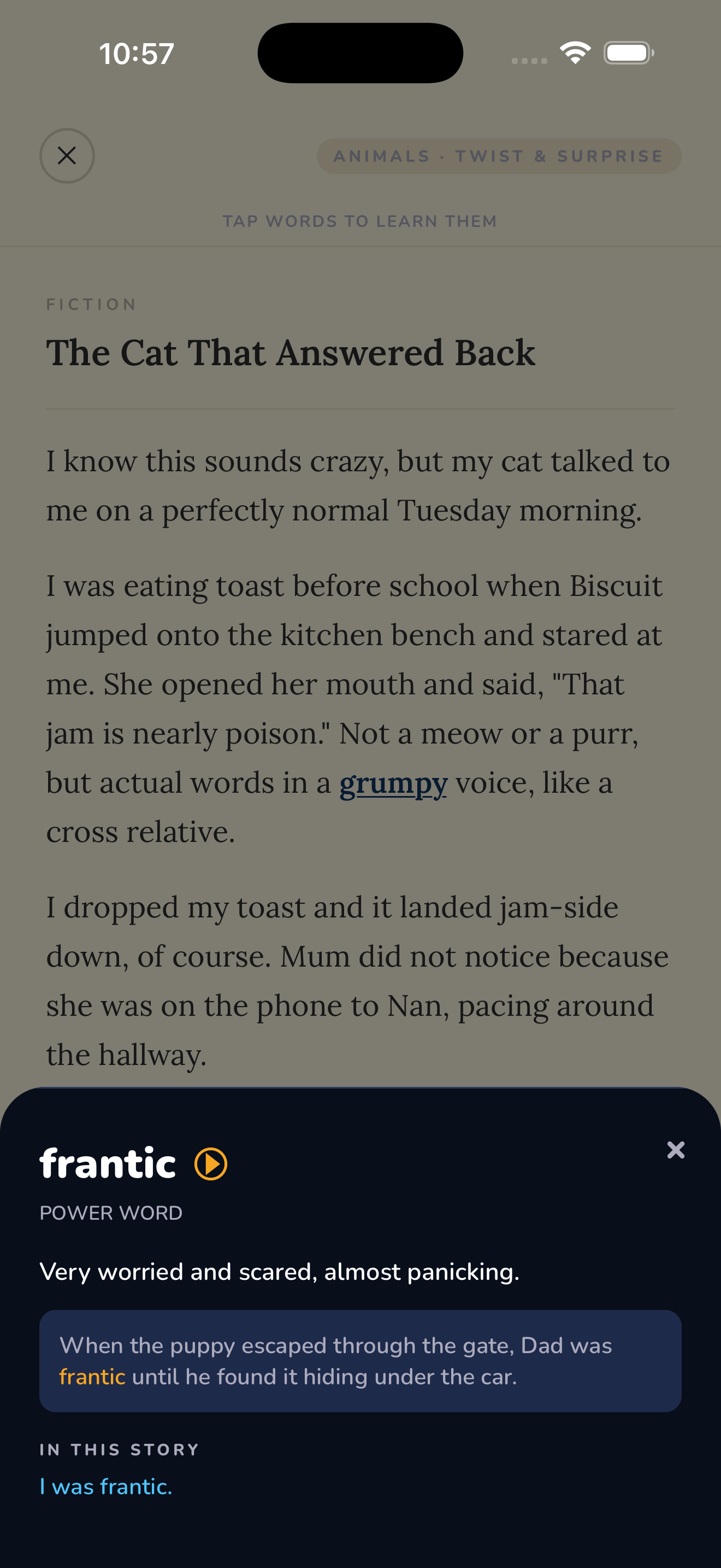 ReadingFox vocabulary builder with tap-to-learn feature